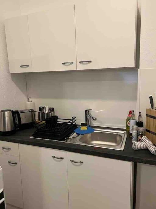 Lux Apartment Near Frankfurt! Mörfelden-Walldorf Zewnętrze zdjęcie